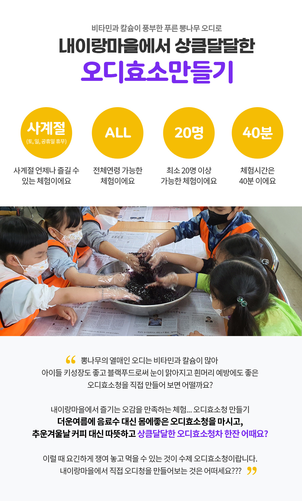 푸른뽕나무의 보물 오디효소만들기